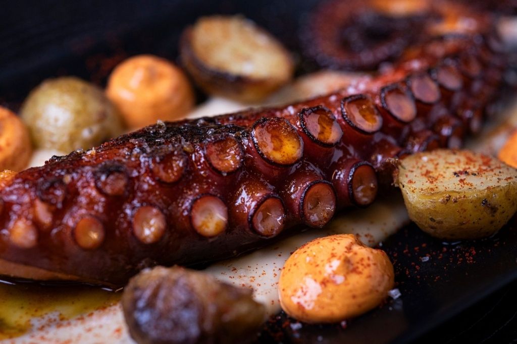 pulpo